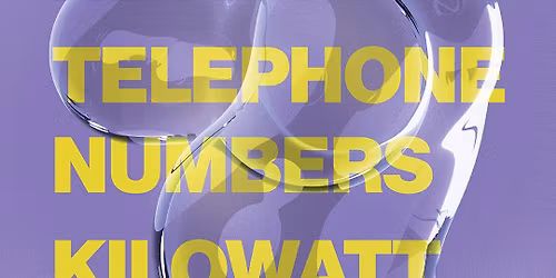 Julian Never, The Telephone Numbers and Slug Feast