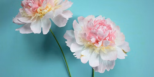 Create a Paper Peony Workshop