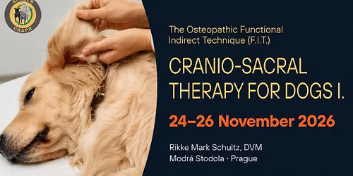 Workshop: Cranio-Sacral Therapy I. (Prague, CZ)