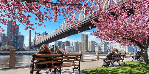 Parking MJ - The Musical - New York