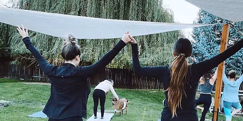 Goat Yoga 
