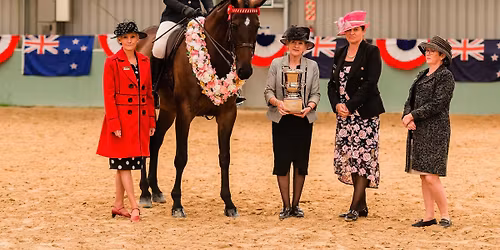 New Zealand Summer Spectacular 2025