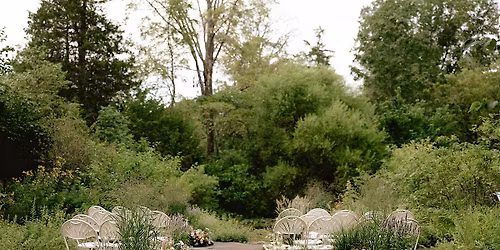 Bowman\u2019s Hill Wildflower Preserve - Nature Walk Wedding Showcase