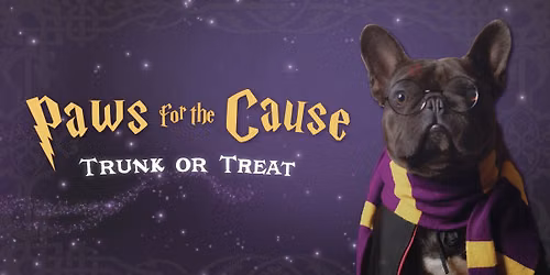 Paws for the Cause