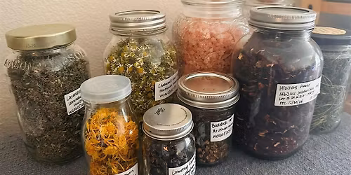 Herbal Harvest: Harvesting and Drying Herbs