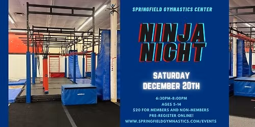 Ninja Night