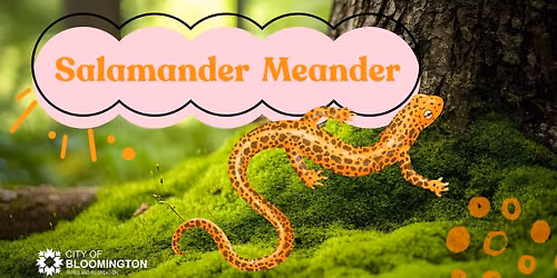 Salamander Meander