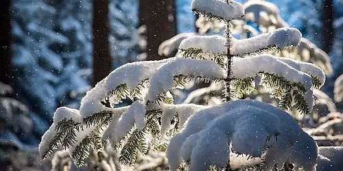 The Art of Wintering: A Breathwork for Journey for Warmth, Balance, & Inner Glow