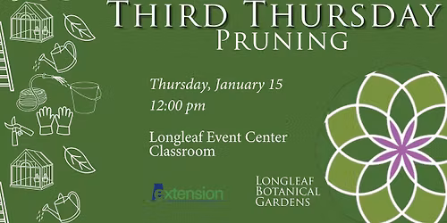 Third Thursday: Pruning