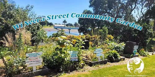 May in the Wi Neera Street Community Garden 