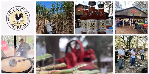Annual Cane Grinding @ ELROD ACRES