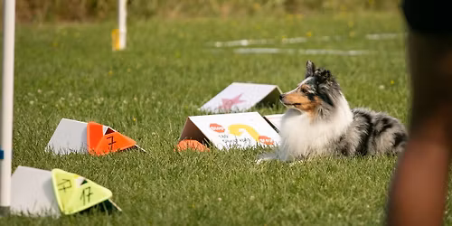 J\u010cT - V\u00edkendovka s Hel\u010dou - Horusice