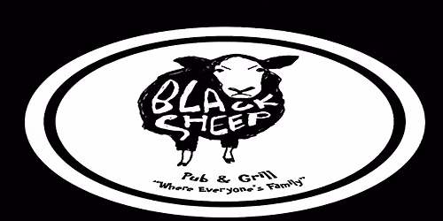 Conscious Pilot at Black Sheep Pub & Grill