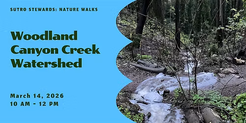 Discovering the Woodland Canyon Creek Watershed