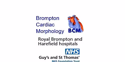 Hands-On Cardiac Morphology Course - MARCH 2026