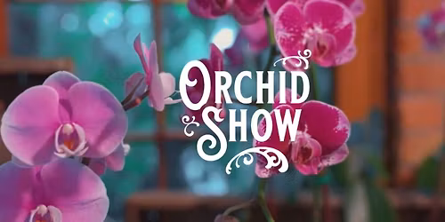 A Day in Bloom at Toledo Zoo