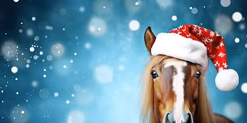 SRAC&SQHA's Christmas Classic 2025