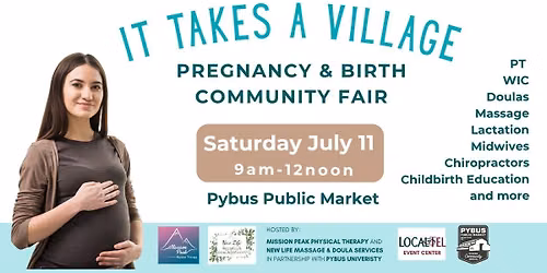 It Takes A Village - Pregnancy & Birth Community Fair