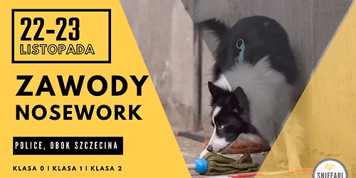 Treningowe Zawody Nosework - POLICE