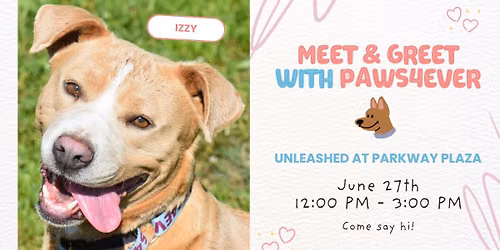 Meet and Greet with Paws4Ever