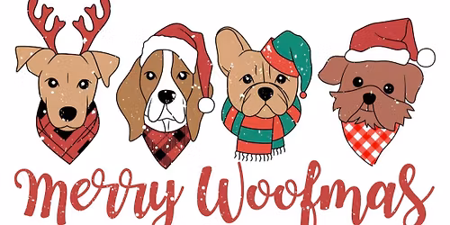 Christmas 🎅🎄Jumper Meet Up Walk 