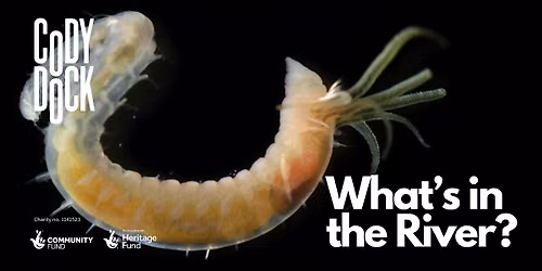 What's in the River?