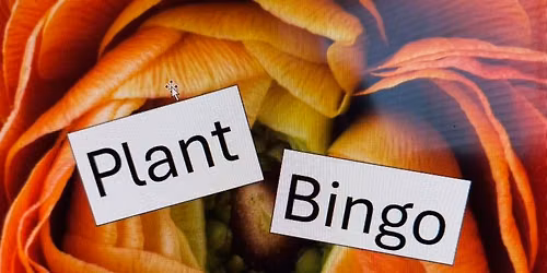 Plant Bingo