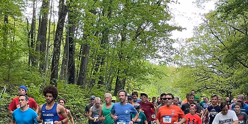 Black Moshannon 5k and 10k Run\/Walk