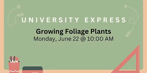 Growing Foliage Plants