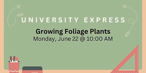 Growing Foliage Plants