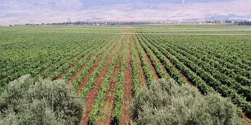 Morrocan Wine Tasting at CARU