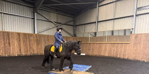 Thornton House Farm York Obstacle Training