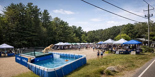 WinniPAWsaukee Diving Into Fall Festival