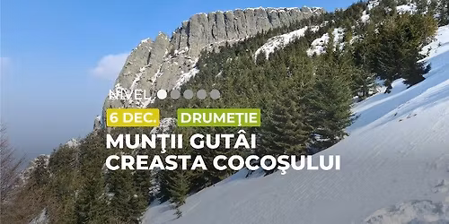 Drume\u021bie Mun\u0163ii Gut\u00e2i, Creasta Coco\u015fului \u0219i Vf. Gut\u00e2iul Mare