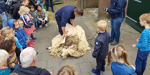 Schaapscheerdersfeest 2026