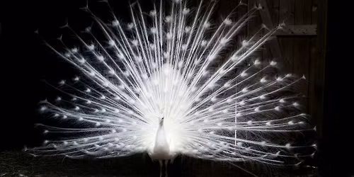 Schaapscheerdersfeest 2026