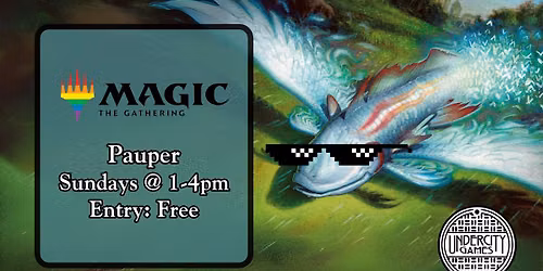 Magic the Gathering - Pauper