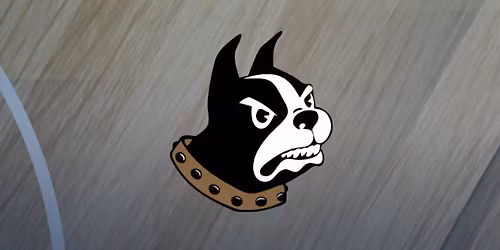 Parking King Tornado at Wofford Lady Terriers Womens Basketball