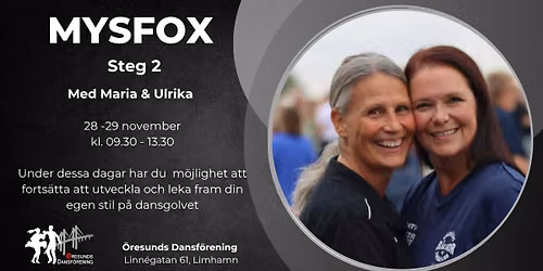 MysFox Steg 2