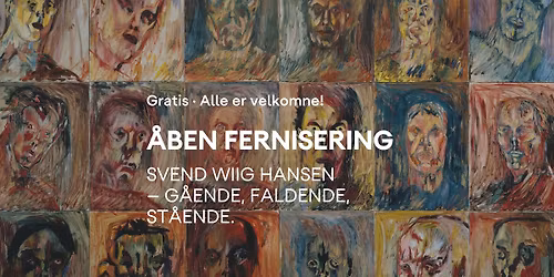\u00c5ben Fernisering \u00b7 Svend Wiig Hansen \u2013 G\u00e5ende, Faldende, st\u00e5ende \u2728