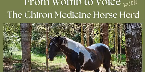 Womb to Voice with the Chiron Medicine Horse Herd