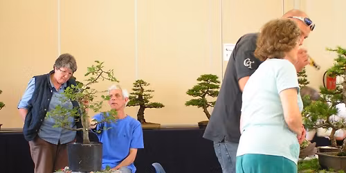 Bonsai Social Meeting