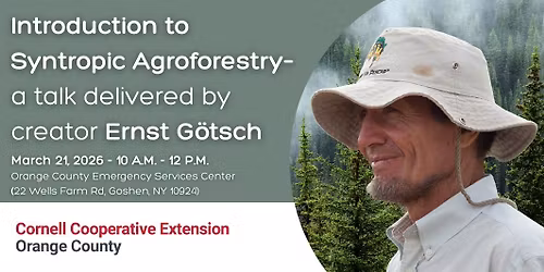 Introduction to Syntropic Agroforestry– a talk delivered by creator Ernst Götsch