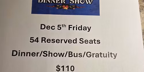 Wisconsin Dells Christmas Show