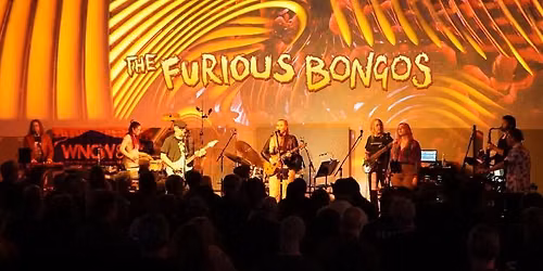 The Furious Bongos