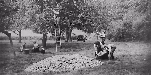 Cider & Cheese Tasting Evening with Andrew Mellor