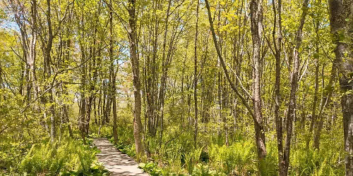 Sense of Wonder Walk