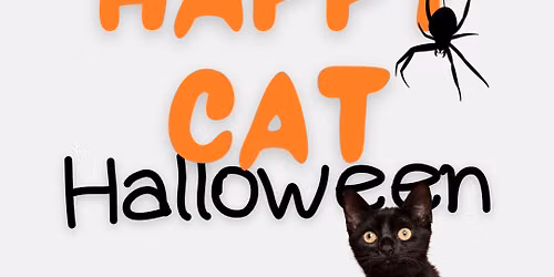 PCSLG: Cat Halloween Party 