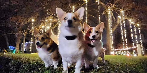 5th Annual Azalea District Christmas Light Bike Ride hosted by Nathan and Ashley Lesniewski