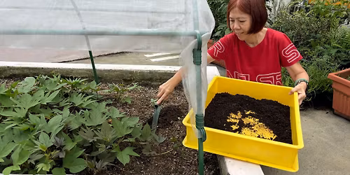 Vermi Composting